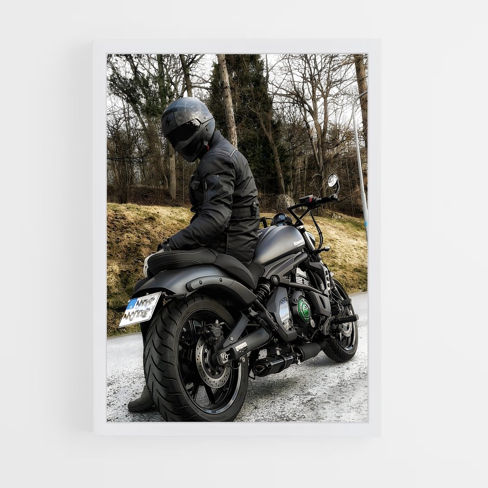 Poster Vulcain mystérieux (vue 3)